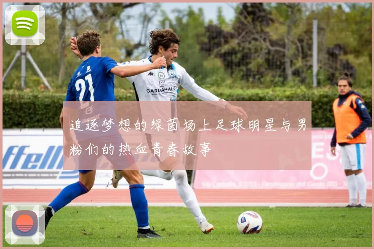 追逐梦想的绿茵场上足球明星与男粉们的热血青春故事