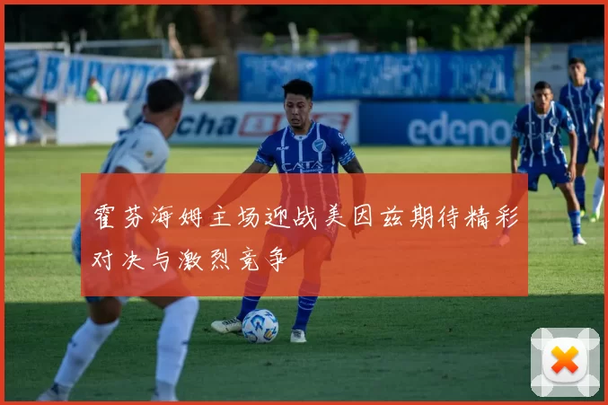 霍芬海姆主场迎战美因兹期待精彩对决与激烈竞争
