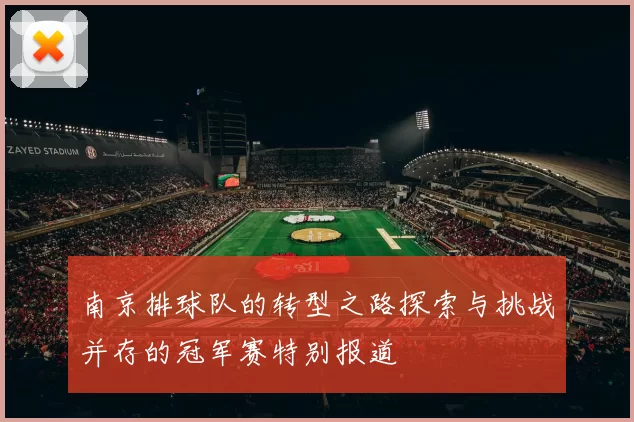 南京排球队的转型之路探索与挑战并存的冠军赛特别报道