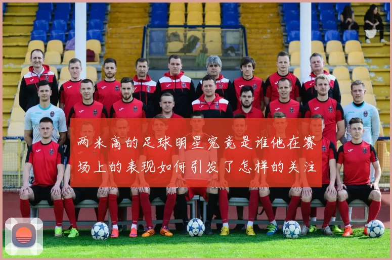 两米高的足球明星究竟是谁他在赛场上的表现如何引发了怎样的关注