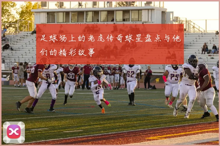 足球场上的老虎传奇球星盘点与他们的精彩故事